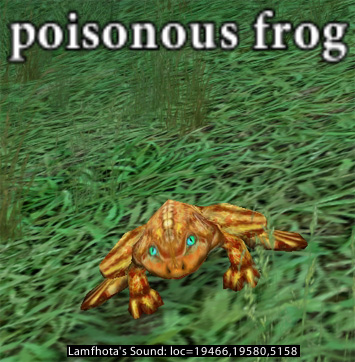 Picture of Poisonous Frog