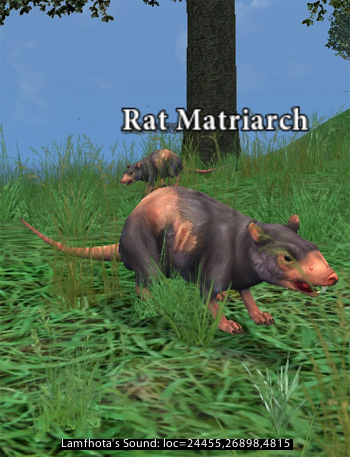 Picture of Rat Matriarch (Hib)