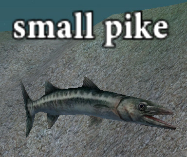 Picture of Small Pike (Hib)