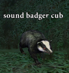 Picture of Sound Badger Cub