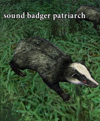 Picture of Sound Badger Patriarch