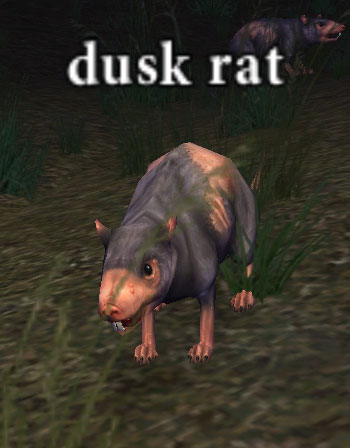 Picture of Dusk Rat (Mid)