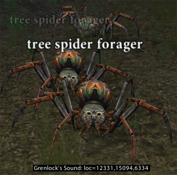 Picture of Tree Spider Forager