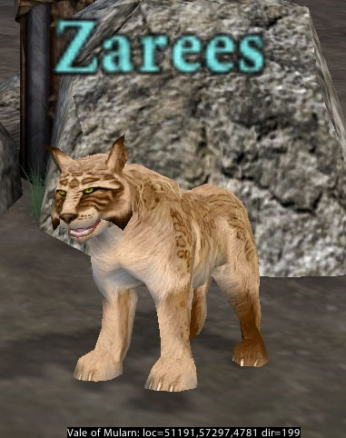 Picture of Zarees (Mid)