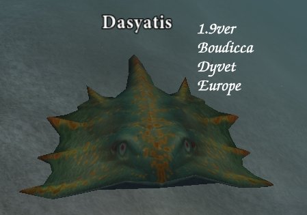 Picture of Dasyatis