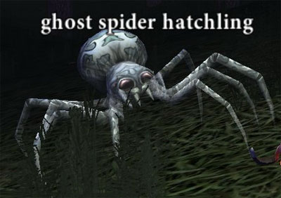 Picture of Ghost Spider Hatchling