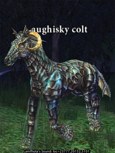 Picture of Aughisky Colt