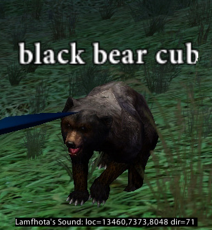 Picture of Black Bear Cub (Hib)