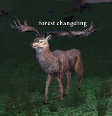 Picture of Forest Changeling