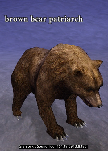 Picture of Brown Bear Patriarch