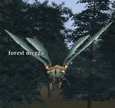 Picture of Forest Mygga