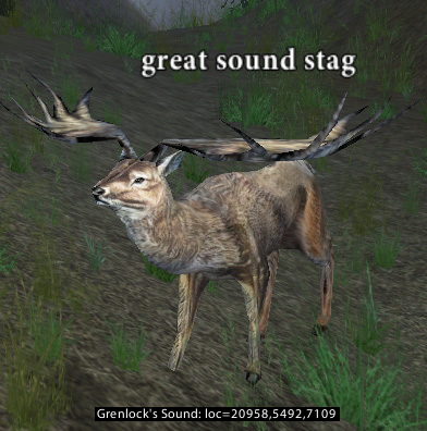 Picture of Great Sound Stag