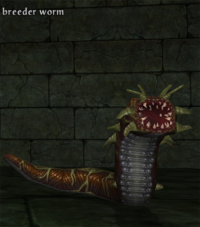 Picture of Breeder Worm