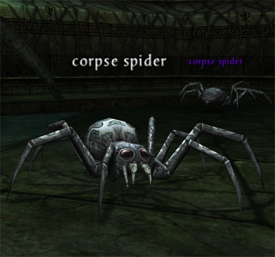 Picture of Corpse Spider