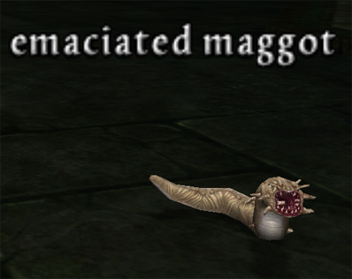 Picture of Emaciated Maggot