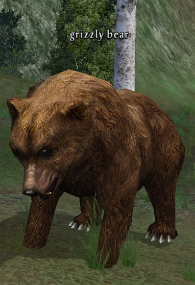Picture of Grizzly Bear