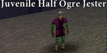 Picture of Juvenile Half Ogre Jester