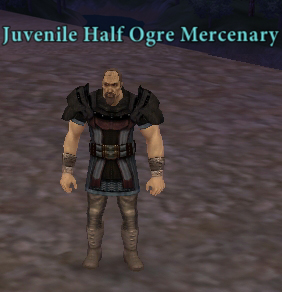Picture of Juvenile Half Ogre Mercenary