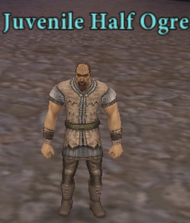 Picture of Juvenile Half Ogre