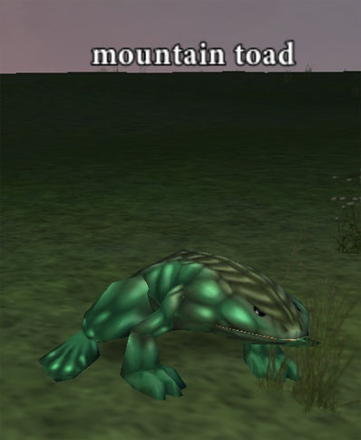 Picture of Mountain Toad