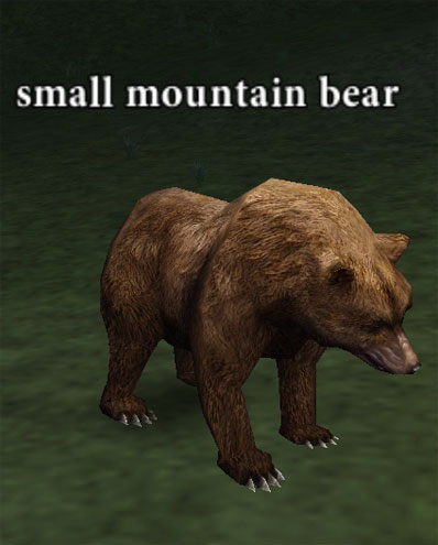 Picture of Small Mountain Bear