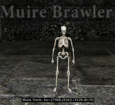 Picture of Muire Brawler