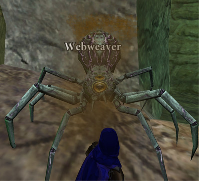 Picture of Webweaver