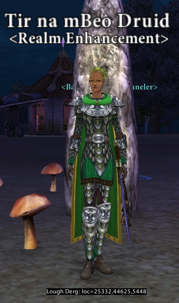 Picture of Tir na mBeo Druid