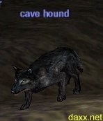 Picture of Cave Hound
