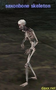 Picture of Saxonbone Skeleton