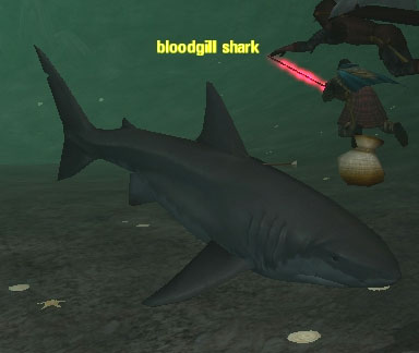 Picture of Bloodgill Shark