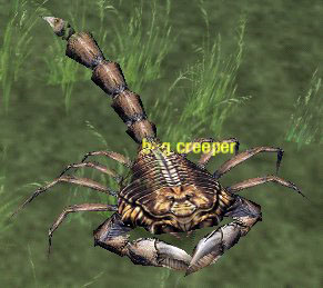 Picture of Bog Creeper