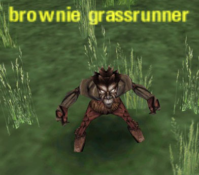 Picture of Brownie Grassrunner