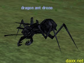 Picture of Dragon Ant Drone