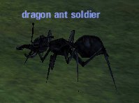 Picture of Dragon Ant Soldier