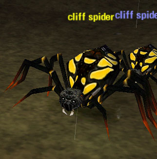 Picture of Cliff Spider