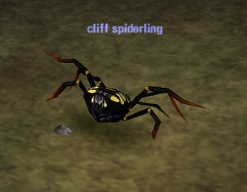 Picture of Cliff Spiderling