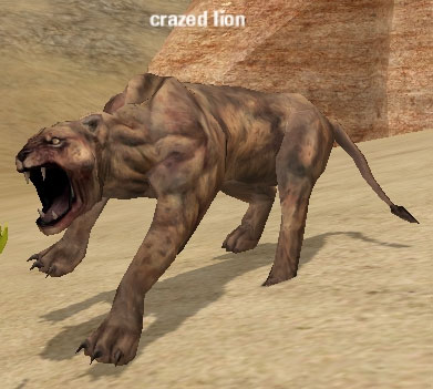 Picture of Crazed Lion