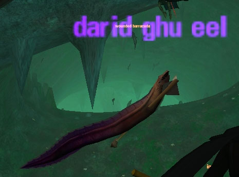 Picture of Darid Ghu Eel