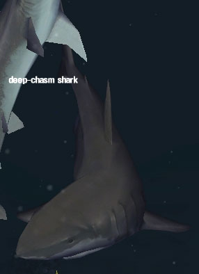 Picture of Deep-Chasm Shark