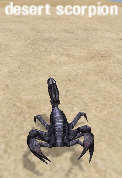 Picture of Desert Scorpion