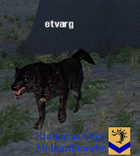 Picture of Etvarg