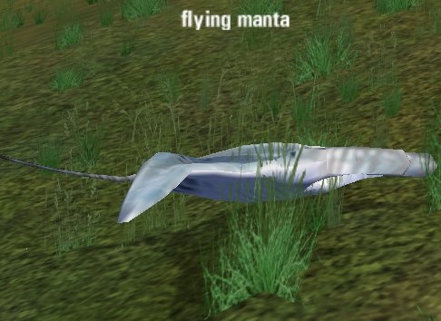 Picture of Flying Manta