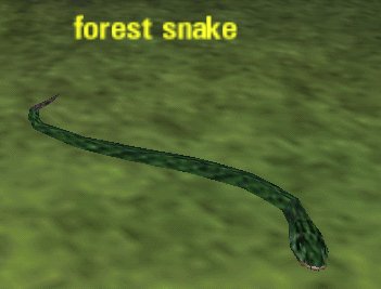 Picture of Forest Snake