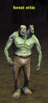 Picture of Forest Ettin