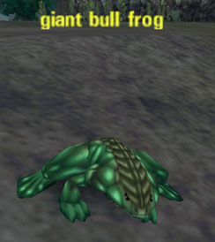 Picture of Giant Bull Frog