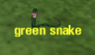 Picture of Green Snake