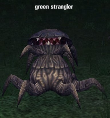 Picture of Green Strangler