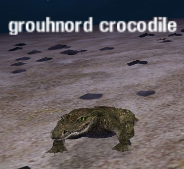 Picture of Grouhnord Crocodile