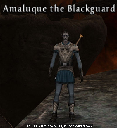 Picture of Amaluque the Blackguard